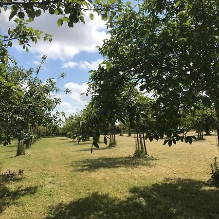 Vakantiehuizen 'T Centrum Oostkapelle Εξωτερικό φωτογραφία
