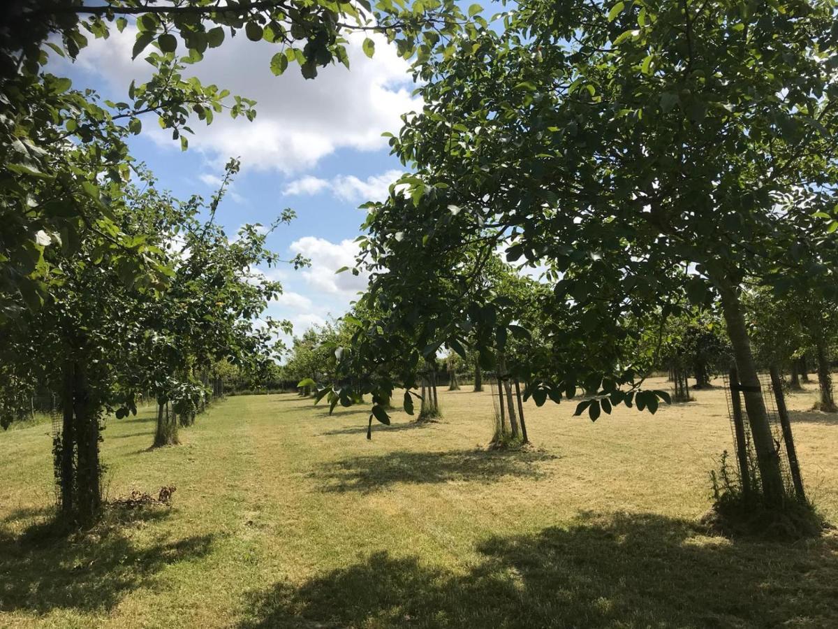 Vakantiehuizen 'T Centrum Oostkapelle Εξωτερικό φωτογραφία